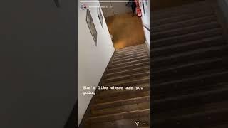 TOM HOLLAND Instagram Stories (Feb. 21, 2020)