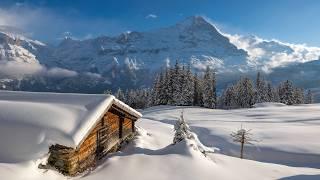 Winter in Switzerland Grindelwald Bussalp Winter Hike 4K