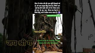 गणेशाय जी की प्राचीन मूर्ति पेड़ से निकला#ganesh #ganeshchaturthi#ganesha