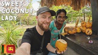 $0.51 KING Coconut from QUEEN in Colombo, Sri Lanka 