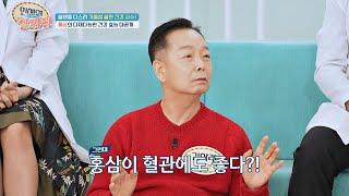 혈관 건강에도 좋다고?! 홍삼 효능 대공개 | TV정보쇼 알짜왕 304회 | JTBC 230112 방송