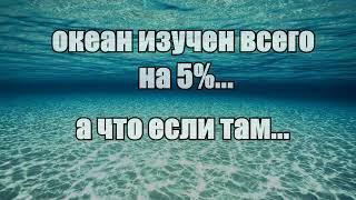 океан изучен всего на 5%