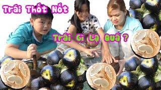 Lần Đầu Ăn Trái Thốt Nốt Có Ngon Không [ Trang And Vinh ]