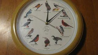 Singing Bird Wall Clock  Dark Sensor National Audubon Society 13 Chirps On Hour