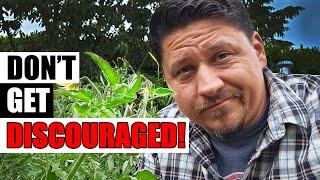 Mistakes We All Make - Garden Quickie Episode 196