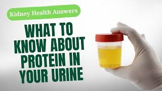 Protein in Urine: What It Means for Your Kidney Health?