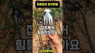 우리집 잡초 해결 이걸로 끝!