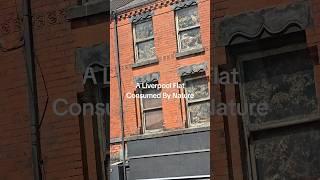 A Liverpool Flat Consumed By Nature #liverpool #liverpoolstreet #liverpoolcity