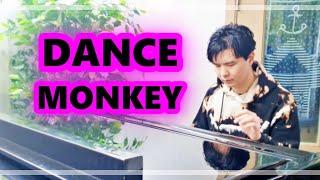 Tones and I - Dance Monkey - Leo Bae