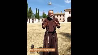 28 luglio 2024 - Commento al vangelo di fr. Damiano Angelucci