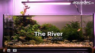 THE RIVER. Shallow aquarium by AQUADEC.ro