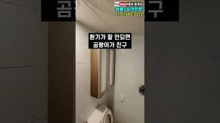 요즘 나오는 신축보다 조금 넓은 원룸 #원룸월세 #원룸구하기 #청주원룸 #이준희중개사 #shorts