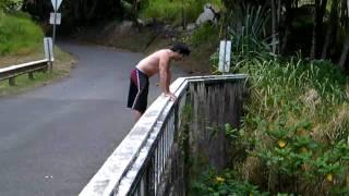 Seven Pools the Oheo Bridge Jump in Maui HAWAII