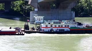 Boats on the Danube - Bratislava - 2022