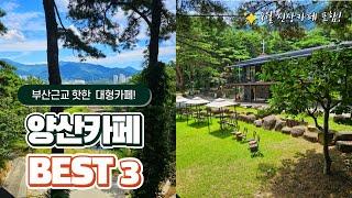 Yangsan Cafe near Busan ｜The best3 that's hot these days｜Busan travel