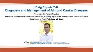 UC Ag Experts Talk: Diagnosis and Management of Almond Canker Diseases