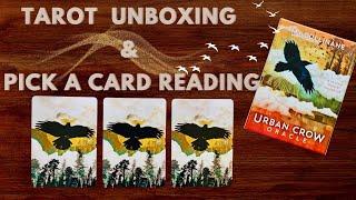   URBAN CROW ORACLE CARDS UNBOXING & FLIP THROUGH |  PICK A CARD TAROT READING