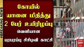 #BREAKING | வெளியான பரபரப்பு சிசிடிவி காட்சி..! | TIRUCHENDUR ELEPHANT ISSUE | MALAIMURASU