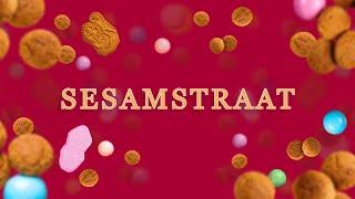 Sinterklaas in Sesamstraat • Intro