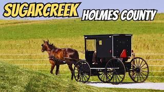 (Amish Country) Adventure: Sugarcreek's Hidden Treasures