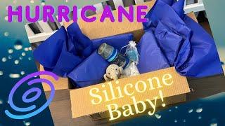 Hurricane Baby Box Opening! ️ Silicone Reborn Birth During a Storm!