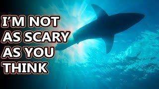 Great White Shark facts: do you even know why they're called that? | Animal Fact Files