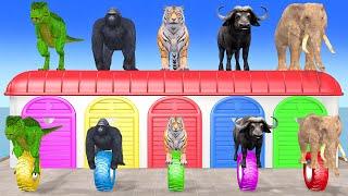 Elephant, Tiger, Buffalo, Gorilla,T-rex, 3d Animal Long Slide Game Funny, 3d Paint Animals Cage Game