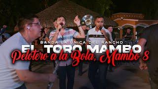 El Toro Mambo, Pelotero A La Bola, Mambo 8 - Banda La Única Del Rancho