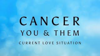 CANCER ️ THIS PERSON FANCIES YOU BUT HERES THE TRUTH OF THEIR INTENTIONS …. Nov 2024