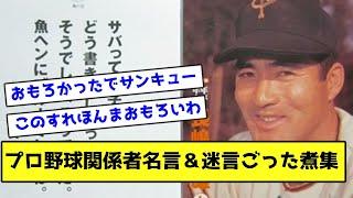 プロ野球関係者名言＆迷言ごった煮集【なんJ反応】