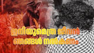 ഇനിയുമെത്ര ജീവന്‍ ഞങ്ങള്‍ നല്‍കണം..വയനാട്ടില്‍ ജീവനെടുത്ത് കാട്ടാന