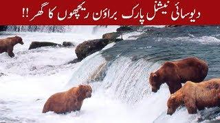 Deosai National Park - Home of Himalayan brown bears | 28 November 2019 | 92NewsHD