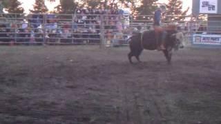 Tanner Byrne wins Oyen CPRA 88.5 on Mind Freak(SK)