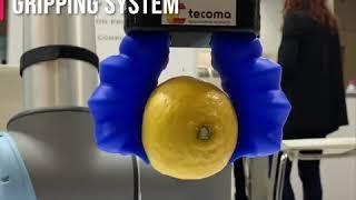 HANDLING WITH SOFT ROBOTICS