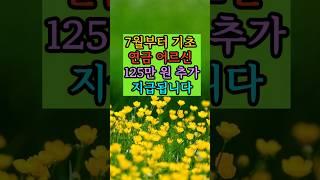 7월부터 기초연금어르신 125만원추가지급됩니다