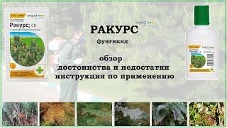 Средство от болезней хвойных культур - Ракурс (обзор)