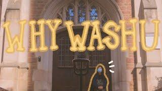 why I chose WashU ( & why you should too)