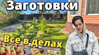 Наша жизнь в деревне. Самые простые и вкусные заготовки. Что делаем из яблок