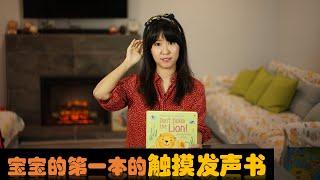 宝宝的第一本书：触摸发声洞洞书 ｜ Usborne 发声书 Don't Touch The Lion