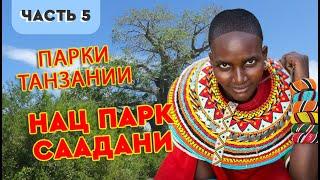 Танзания   Национальный парк Саадани