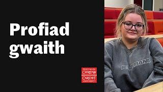 Profiad gwaith | Work experience