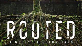 Rooted | Pt. 3