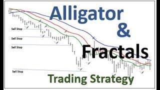 Alligator and Fractals Trading Strategy