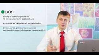 Защита сои препаратами DuPont™