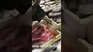 Ikan kakap Merah Muara Baru Jakarta Utara #shorts #wibikembara #seafood