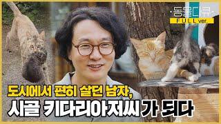 [풀버전] 집에 새끼를 데리고 온 어미 고양이 세 마리?! 12마리의 집사로 간택당한 시골 화가 총각 | 동물극장 단짝 EP28  | KBS 220820 방송