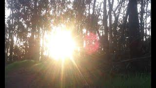 The Sun's energetic influence in Vedic/Thunder Wizard Astrology