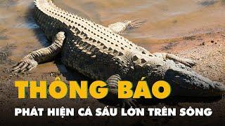 Long An thông báo phát hiện cá sấu lớn trên sông, nghi từ Đồng Tháp bơi sang