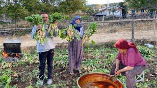 Hard Life of a Big Family Living in a Village. Village Life in Turkey.