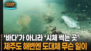 "바다의 기능은 끝난 거죠.." 충격적인 제주 바다의 모습 | KBS 20230204 방송